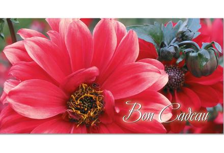 Bon cadeau pour le jardinage