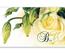 bon cadeau à plier bons cadeaux pliables multicolore cartes cadeaux coupons BL226F fleur fleurs fleuriste jardinerie horticulture exploitation horticole
