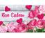 bon cadeau à plier bons cadeaux pliables multicolore cartes cadeaux coupons U255F fête des mères 14 février La Saint Valentin