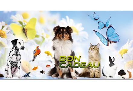 Bons cadeaux pour animaleries, vétérinaires