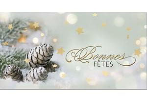 bon cadeau à plier bons cadeaux pliables multicolore cartes cadeaux coupons X286F Noël fête de Noël