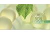 MA226F Bon-cadeau MC / naturopathie guérisseur naturopathe médecine alternative homéopathie phytothérapie plante médicinale MA226F Bon-cadeau MC / naturopathie guérisseur naturopathe médecine alternative homéopathie phytothérapie plante médicinale