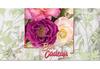 BL242F Bons-cadeaux pour les entreprises horticoles BL242F Bons-cadeaux pour les entreprises horticoles