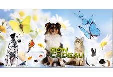Bons cadeaux pour animaleries, vétérinaires