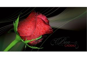 bon cadeau à plier bons cadeaux pliables multicolore cartes cadeaux coupons U211F pour entreprises