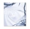 K701F Bon-cadeau booklet / coiffeur salon de coiffure K701F Bon-cadeau booklet / coiffeur salon de coiffure