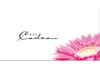 BL219F Bon-cadeau MC | pour les entreprises BL219F Bon-cadeau MC | pour les entreprises