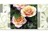 BL228F Chèques-cadeaux MC | jardinerie entreprises horticoles BL228F Chèques-cadeaux MC | jardinerie entreprises horticoles