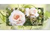 BL250F Bon-cadeau MC / jardinerie horticulture exploitation horticole BL250F Bon-cadeau MC / jardinerie horticulture exploitation horticole