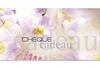 KS240F Bon-cadeau MC / KS240F Bon-cadeau MC /