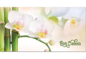 100 Formulaires Bons Cadeaux à Personnaliser - Idéal Naturopathie, Entreprises - Format 185x102 Mm - Qualité Premium