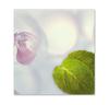 MA702F Bon-cadeau booklet / naturopathie guérisseur naturopathe médecine alternative homéopathie phytothérapie plante médicinale pharmacie MA702F Bon-cadeau booklet / naturopathie guérisseur naturopathe médecine alternative homéopathie phytothérapie plante médicinale pharmacie
