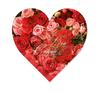 BL452F Bons cadeaux en forme de coeur BL452F Bons cadeaux en forme de coeur