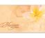 bon cadeau à plier bons cadeaux pliables multicolore cartes cadeaux coupons MA230F pratique salon cabinet institut de massage massothérapie