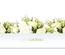Bons-cadeaux pour les fleuristes
