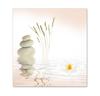 MA707F Bon-cadeau booklet / pratique salon cabinet institut de massage massothérapie bien-être spa MA707F Bon-cadeau booklet / pratique salon cabinet institut de massage massothérapie bien-être spa