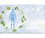 bon cadeau à plier bons cadeaux pliables multicolore cartes cadeaux coupons MA263F naturopathie guérisseur naturopathe médecine alternative homéopathie phytothérapie plante médicinale