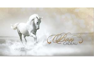Bons cadeaux pour équitation et magasins équestres