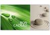 MA235F Bon-cadeau MC / pratique salon cabinet institut de massage massothérapie naturopathie guérisseur naturopathe médecine alternative homéopathie phytothérapie plante médicinale MA235F Bon-cadeau MC / pratique salon cabinet institut de massage massothérapie naturopathie guérisseur naturopathe médecine alternative homéopathie phytothérapie plante médicinale