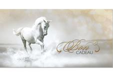 Bons cadeaux pour équitation et magasins équestres