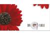 G213F Bon-cadeau MC | café G213F Bon-cadeau MC | café
