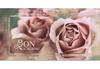 BL258F Bon-cadeau MC | pour entreprises BL258F Bon-cadeau MC | pour entreprises