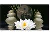MA229F Bon-cadeau MC / pratique salon cabinet institut de massage massothérapie physio physiothérapie kinésithérapie naturopathie guérisseur naturopathe médecine alternative homéopathie phytothérapie plante médicinale bien-être spa MA229F Bon-cadeau MC / pratique salon cabinet institut de massage massothérapie physio physiothérapie kinésithérapie naturopathie guérisseur naturopathe médecine alternative homéopathie phytothérapie plante médicinale bien-être spa