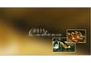 SH213F Bon-cadeau MC | magasins de chaussures SH213F Bon-cadeau MC | magasins de chaussures