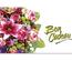 bon cadeau à plier bons cadeaux pliables multicolore cartes cadeaux coupons BL254F fleur fleurs fleuriste