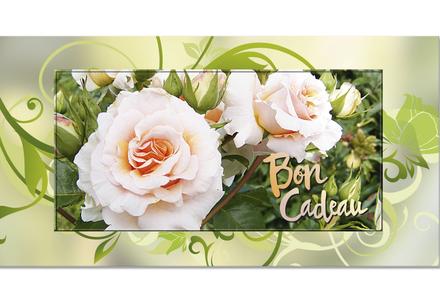 bon cadeau à plier bons cadeaux pliables multicolore cartes cadeaux coupons BL250F jardinerie horticulture exploitation horticole