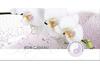 MA261F Bon-cadeau MC | cosmétiques, massages, physiothérapie MA261F Bon-cadeau MC | cosmétiques, massages, physiothérapie