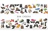 SH230F Bon-cadeau MC | Magasins de chaussures SH230F Bon-cadeau MC | Magasins de chaussures